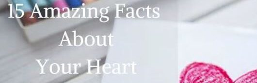 20 Interesting Facts About the Human Heart