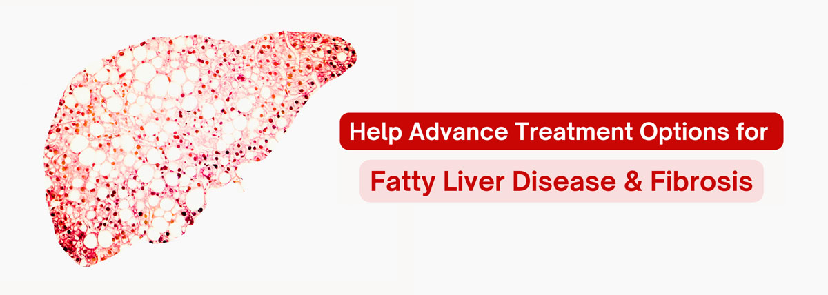 Fatty Liver Disease & Fibrosis
